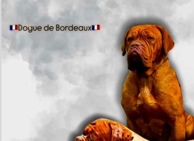 WhatsAppImage20250822at14.01.291756320539