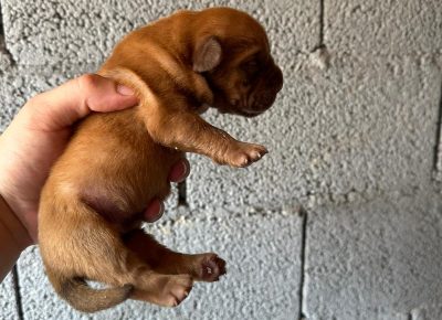 WhatsAppImage20250822at14.01.42(1)1756320539