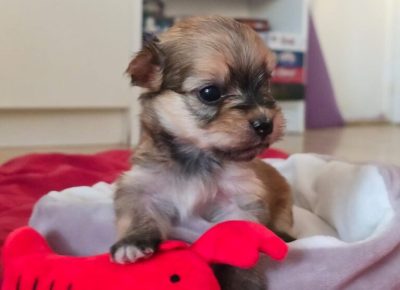 aiberimage20250712062950546768x10241755195844