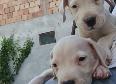 aiberimage202508091253260991755111874