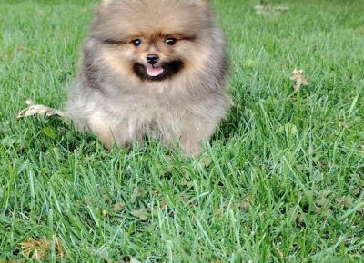 b70d231f199c4b1184f31bda0c5949f51754678925