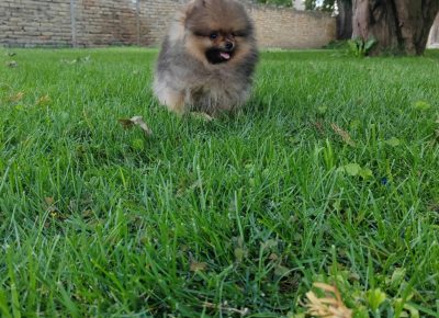 e05e4e39c4504d96ad802e6af6260b9a1754678926