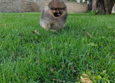 e05e4e39c4504d96ad802e6af6260b9a768x102411756504862