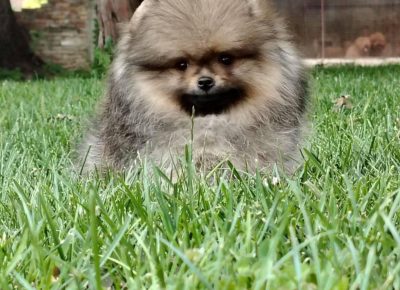 eb7db91c6a6d4a6a8cdc19702ca0497d1754678925