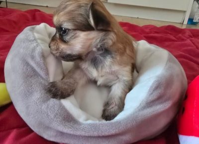 viberimage20250712062949566768x10241755195846