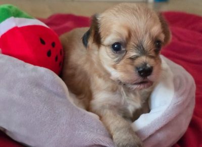 viberimage20250712062950058768x10241755195844