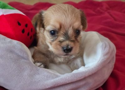 viberimage20250712062950300768x10241755195846