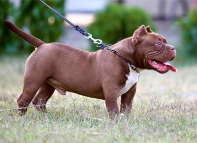 viberimage202507281611140111754417650