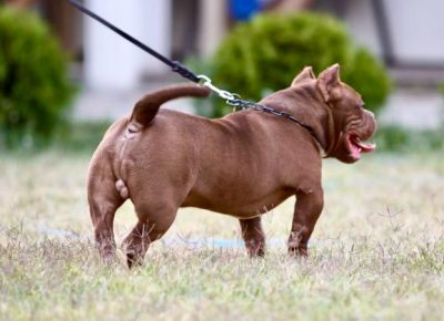 viberimage202507281611142151754417649