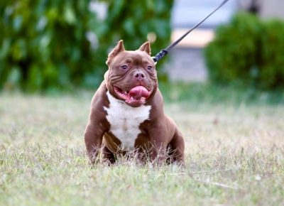 viberimage202507281611146881754417650