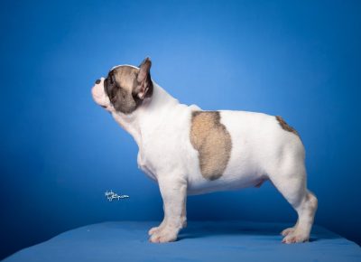 viberimage202508071301483751754850253