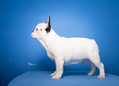 viberimage202508071303564251754850253