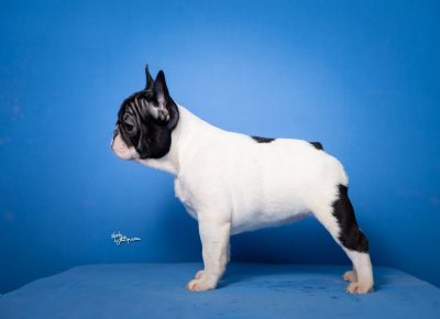 viberimage202508071304490181754850254