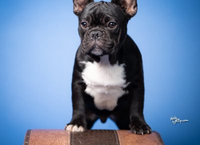 viberimage202508071305416981754850254