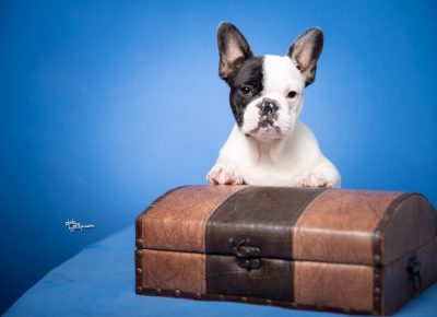 viberimage202508071306218771754850255