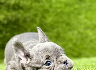 viberimage202508072022116451755282203