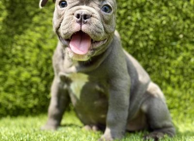 viberimage202508072022120771755282205