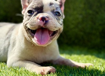 viberimage202508072022137881755282203