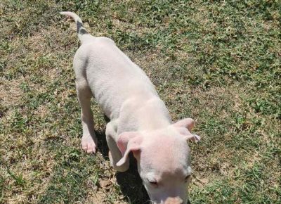 viberimage202508091250402831755111876