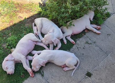 viberimage202508091252207041755111877