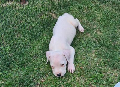 viberimage202508091254396541755111875