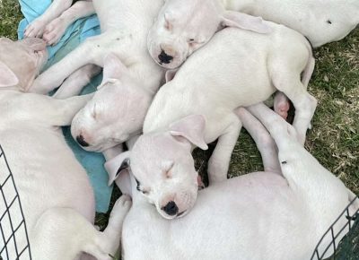 viberimage202508091257477391755111875