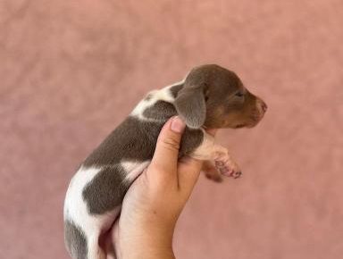 viberimage202508141303450981755332413