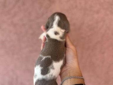 viberimage202508141303481951755332416