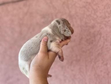 viberimage202508141303497911755332415