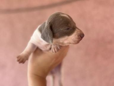 viberimage202508141303504601755332414