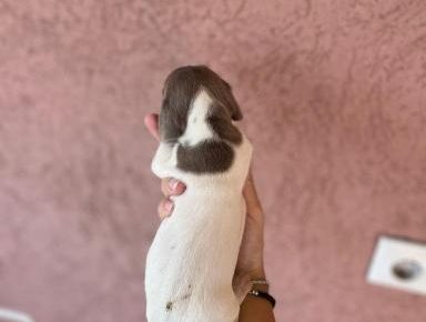 viberimage202508141303507281755332416