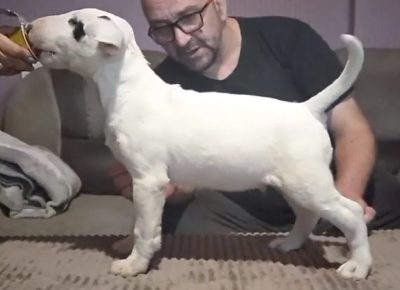 viberimage202508241517439721756234647