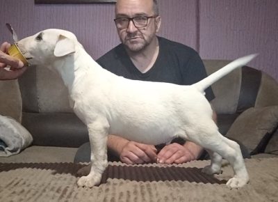 viberimage202508241517441761756234648