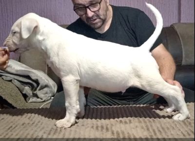 viberimage202508241517443721756234649