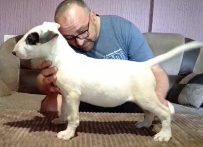 viberimage202508241518531571756234648