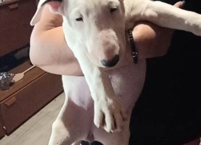 viberimage202508241518533351756234647