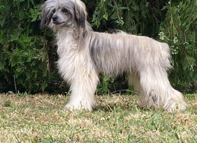 05919110b575488199a2e2768d34d9e41757457804