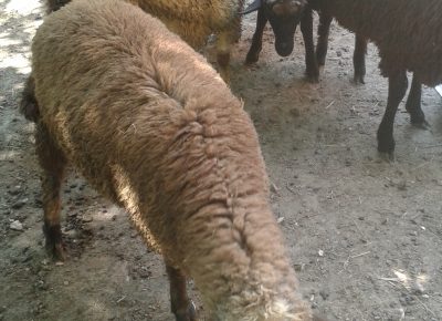 202509091148081758194123