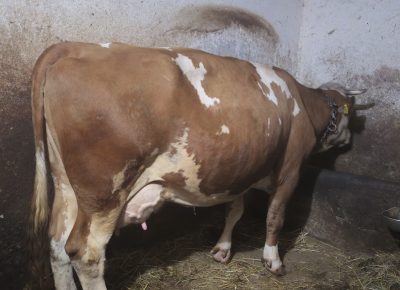 202509161909531758136584