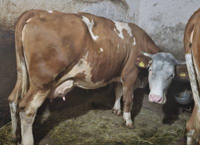 202509161910131758136580