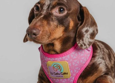 2cc980fd9fc846c3b8276214996ec2b71757262280