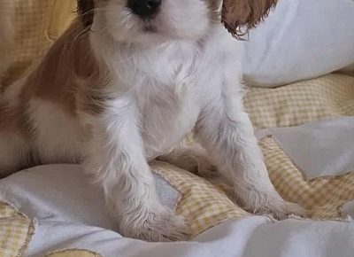 2d1468cec2494dd5b0c74c171573bf421759222416