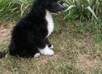 41769e618a744f13a84953fdf51518031757457805