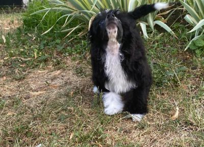 4a8cd79e53d249e09eb277ba2529adf41757457806