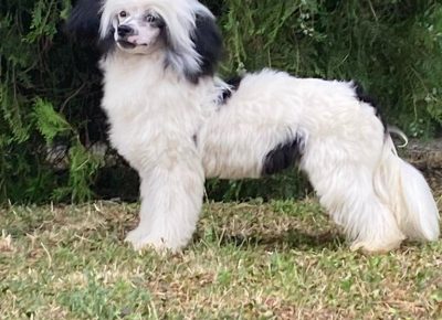 580695e41df84561bfd3bed84686c9741757457803