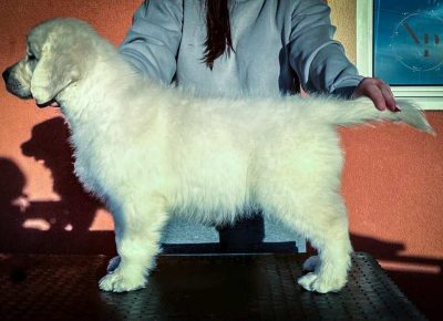 7ebc7ddf451d44609b833b9f1ec87d7b1758315692