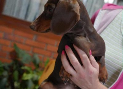 9d8ca2ae7b4e4690a3a969934d39fbcf1757262279