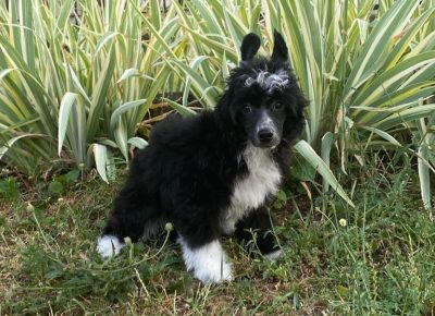 9f8edf86a56c4c299589dfacbba10d971757457805