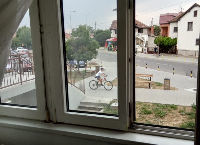 IMG202108251754471757451466