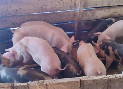 MessengercreationF75DC0E9DD94451A98C9BBCA7B03DF9D1757182455